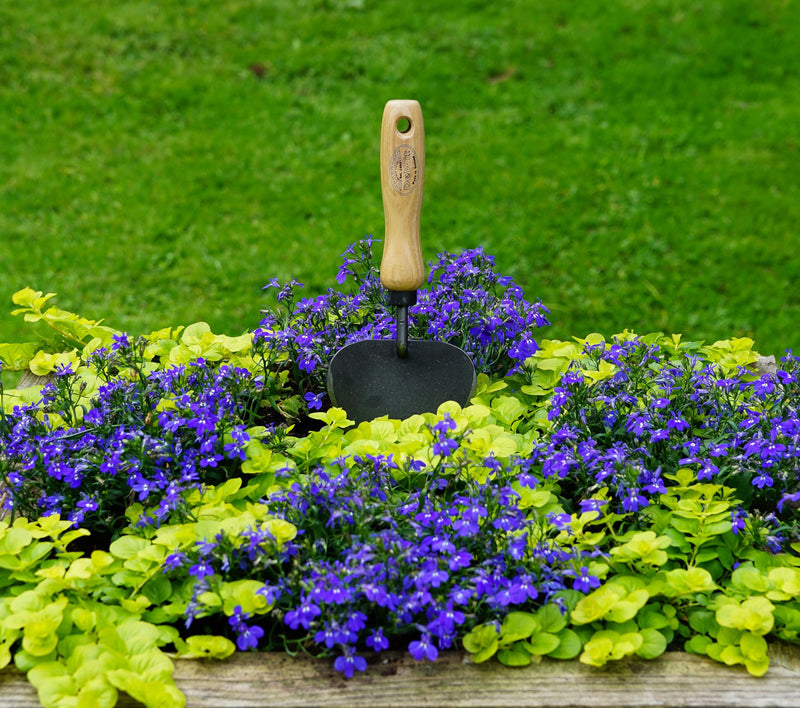 Dewit Potting Trowel – Heavy Duty Garden Hand Tool with Extra-Large Curved Blade | Tempered Boron Steel | Ash Wood Handle | 11" Length