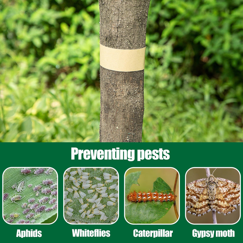 DECOHS 165 Ft x 2 Inch Tree Insect Barrier Tape, Cicada Tree Wrap Protection Tape, Adhesive Crawling Insect Tree Tape for Protecting Fruit Trees Plants Outdoor Lawn Garden