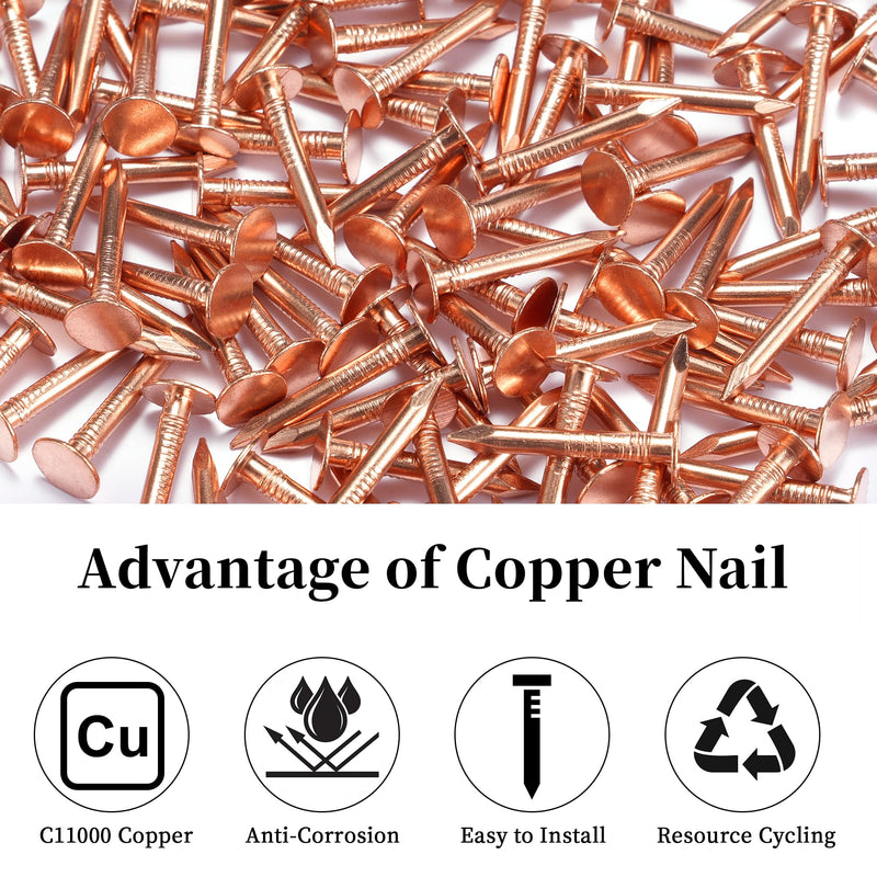 GOORY 500Pcs Copper Nails 1 Inch - with 1/16 Inch Drill Bit - 99.95% Pure Copper Roofing Nails Slate Spikes Flashing Furniture Boat for Roof Repair, Tree Stump Remover, DIY Project 500 Pcs 1" Copper Nail