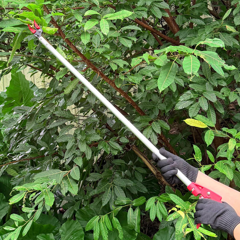 Tree Pruner, 4 FT Long Reach Pruner with SK5 Steel Blade, Aluminum Pole Tree Trimmer, Fruit Picking Tool, Cut and Hold, Bypass Pruner