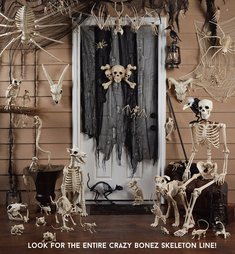 [Australia - AusPower] - Crazy Bonez Light Up Skeleton Octopus 