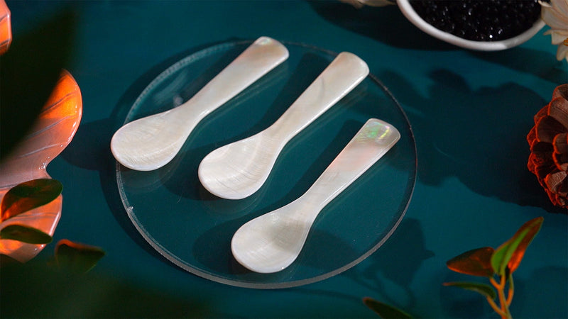ThougrLyh Mother of Pearl Spoon 24pcs 3.54in Caviar Spoons for Food Parties 24