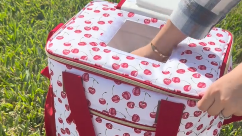 Fit & Fresh Regatta insulated soft cooler bag with 24-can capacity in Pina Colada color, made for keeping drinks cold on the go.