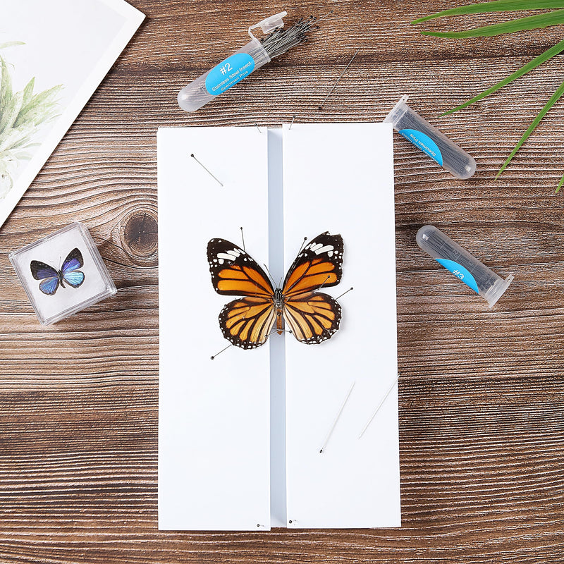 Insect Pinning Board, EVA Foam Board Pose Insects Boards Butterfly Spreading Wings Board Combined Plates, Adjustable Wide Spacing Double Sided Usable Insect Specimen Tools for Bugs Collection (1 PACK)