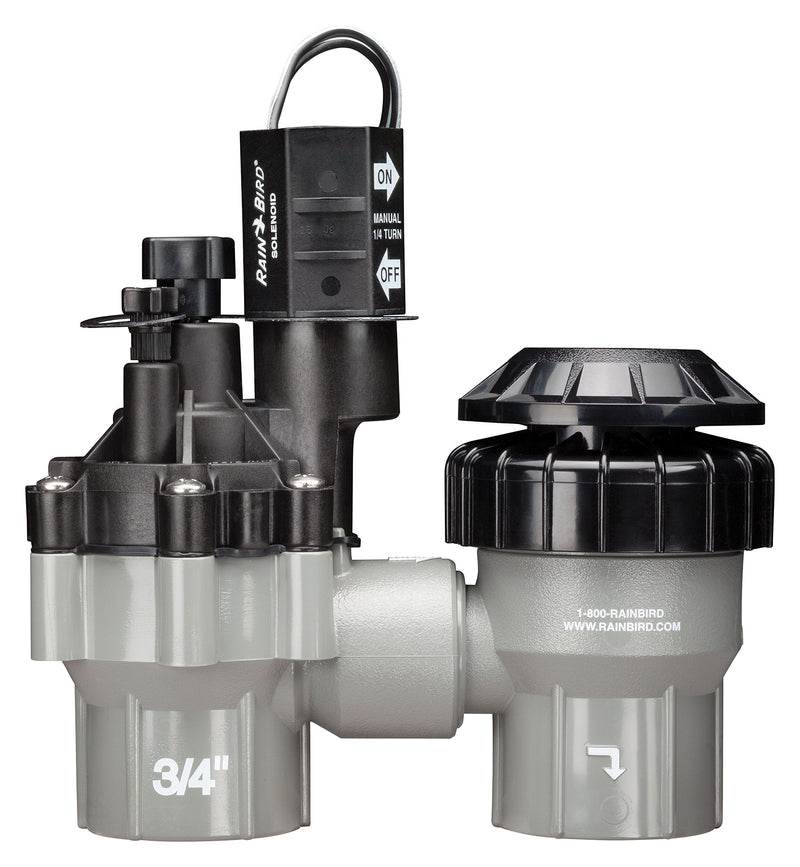 [Australia - AusPower] - Rain Bird DASASVF075 Professional Grade Anti-Siphon Valve with Flow Control, 3/4" Threaded Female x Female 0.75 Inch 