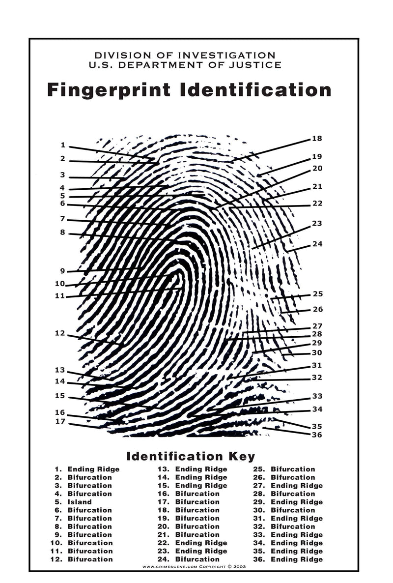 [Australia - AusPower] - Crime Scene Fingerprint Chart, Poster Size 24" by 36" 