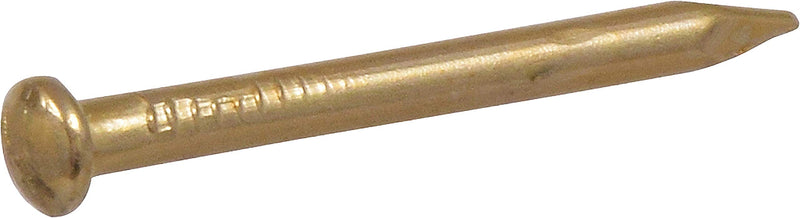 [Australia - AusPower] - Hillman 532422 Escutcheon Pins Brass Plated 1 X 16 (1.5 oz-Pack) 1 Count (Pack of 6) 