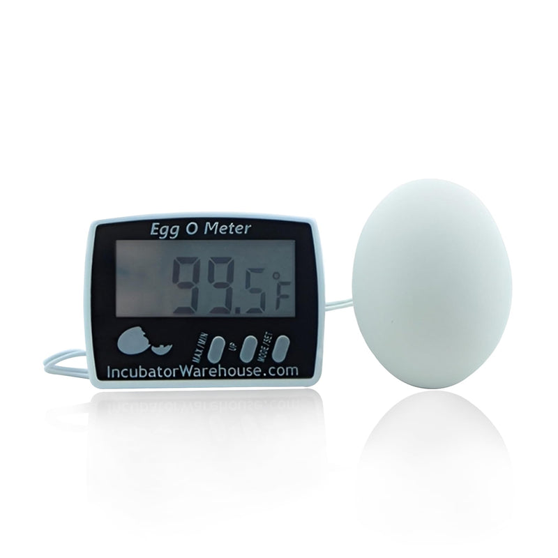 [Australia - AusPower] - Incubator Warehouse Egg-O-Meter - Large Digital Display Egg Thermometer with Min/Max Memory - Reads Celsius and Fahrenheit +/-1 