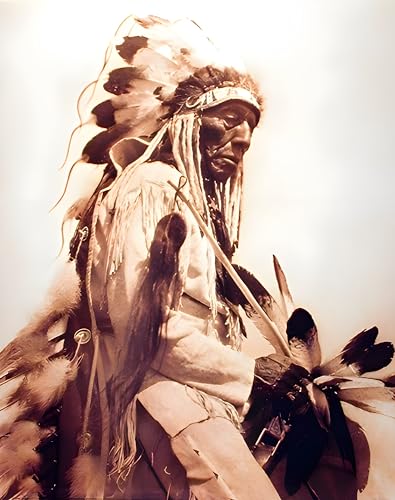 Impact Posters Gallery Native American The Old Chief Cheyenne Wall Decor Art Print Poster Picture (16x20)