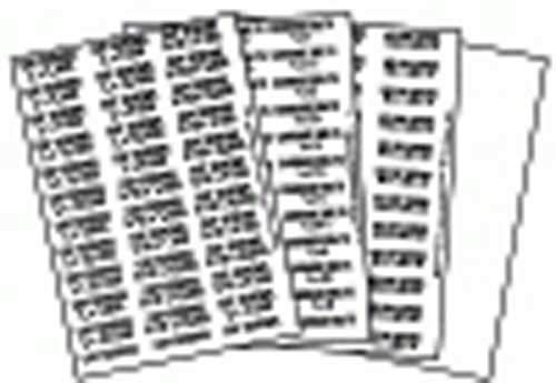 Clipsandfasteners SAE flat washer fastener bin labels with clear black text for organized hardware storage