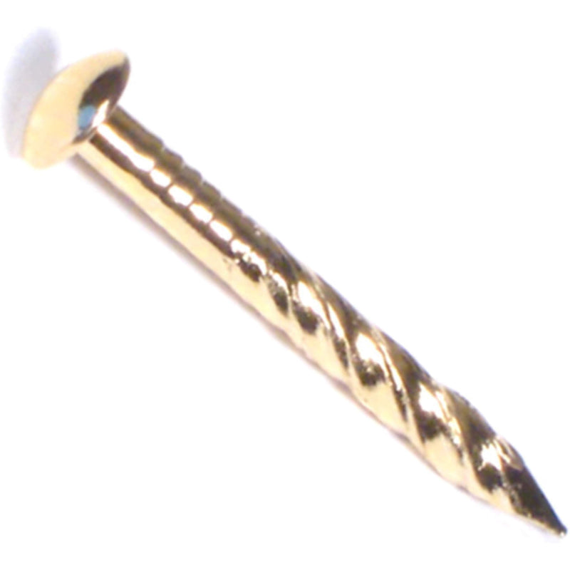 [Australia - AusPower] - 014973210519 Carpet Trim Nails, 7/8, Piece-80 