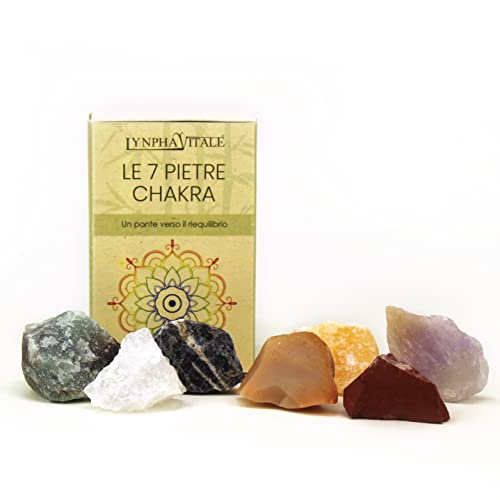 Lynpha Vitale - 7 Chakra Stones - Healing Stones for Crystal Therapy - Anxiety Relief - Seven Natural, Pure Healing Crystals for Protection