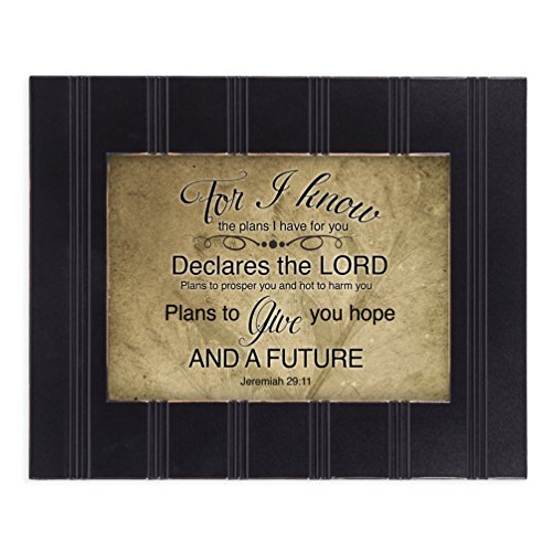 Hope and a Future Jeremiah 29:11 8x10 Black Framed Art Wall Plaque Sign