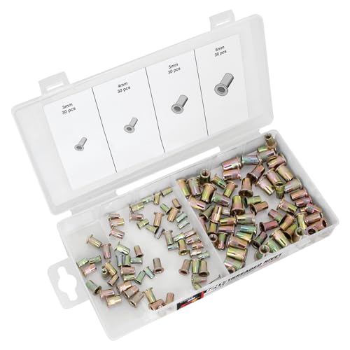 Performance Tool W5252 120-piece metric threaded rivet assortment kit in organized storage case