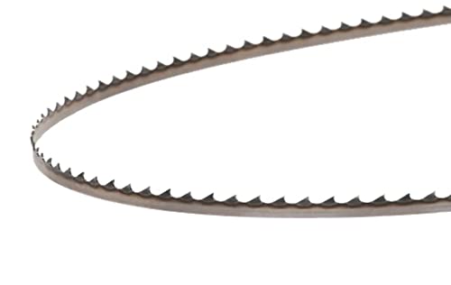 Timber Wolf 1/4 inch band saw blades coiled for woodworking saws