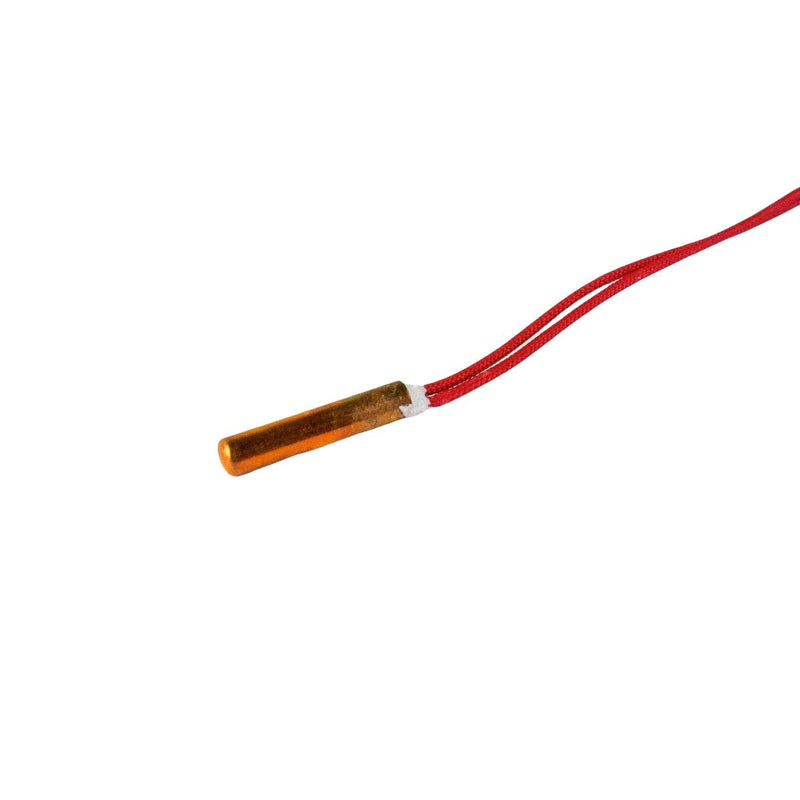 [Australia - AusPower] - Genuine E3D PT100 Temperature Sensor (E-PT100-100-MOLEX) 