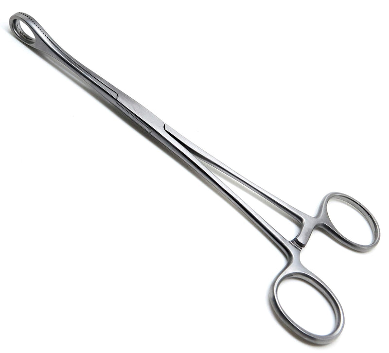 Foerster Sponge Forceps 12" Straight Serrated Surgical Holding Veterinary Instruments