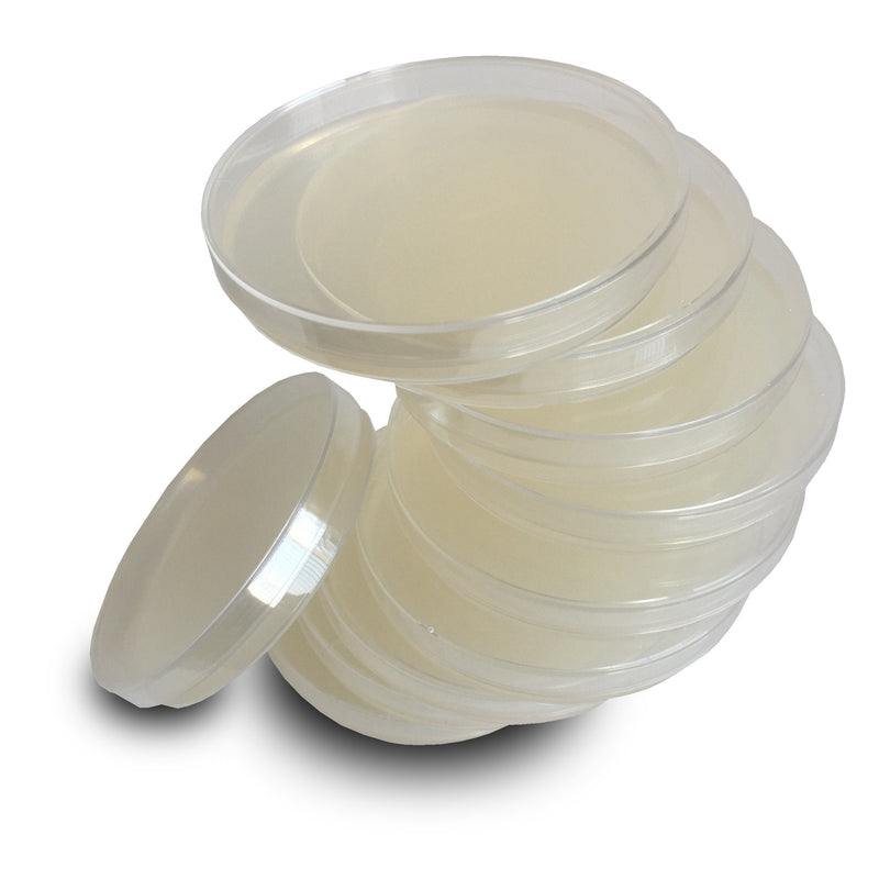 Nutrient Agar Plates by Evviva Sciences, Prepoured Nutrient Agar Petri Dishes for Science Fair Projects & Microbiology Experiment, Helps Microorganisms Thrive - Swabs Not Included