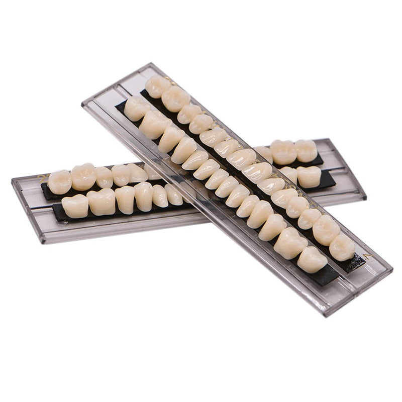 [Australia - AusPower] - Angzhili Dental Acrylic Resin Denture Tooth Kit False Tooth For Halloween Horror Prop 23 A2(28 Pcs/Set) 