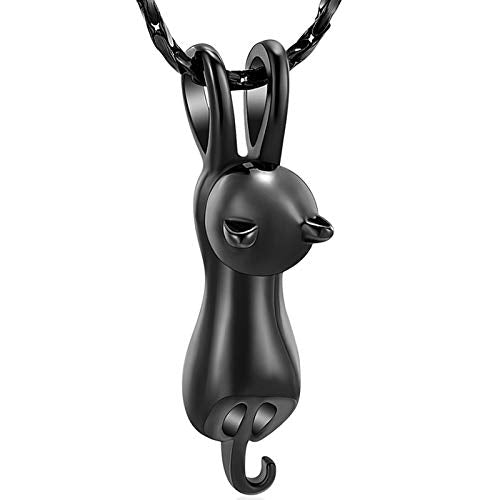 Imrsanl Pet Cremation Jewelry for Ashes Cat Urn Necklace Black