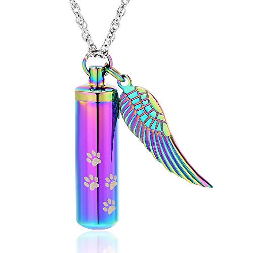 shajwo Cremation Jewelry Paw Print Urn Necklaces for Human Pet Ashes Cylinder Urn Pendant Keepsake Memorial Ash Locket Holder Necklace for Men Women Rainbow