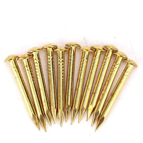 HEEPDD brass escutcheon tacks, 22mm round head brad nails, 100-piece pack