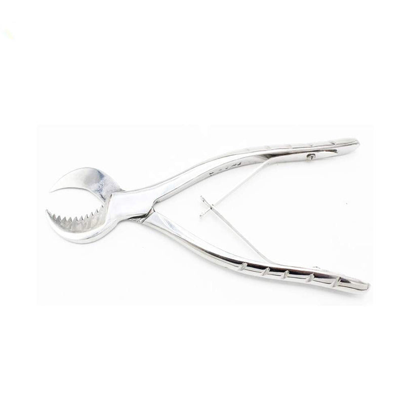 [Australia - AusPower] - Stainless Steel Dental Pliers Plaster Nippers Cutter Dentist Lab Equipment, Cow Horn Jaws, Serrated Blade, Spring Action by Hbmol (Small) 