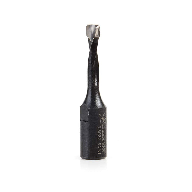 Amana Tool 316022 Carbide Tipped 2 Flute RH Rotation 5mm D x 20mm CH x M6x0.75 Thread for Domino Joining Machine for Festool Carbide Tipped 2 Flute R/H Rotation