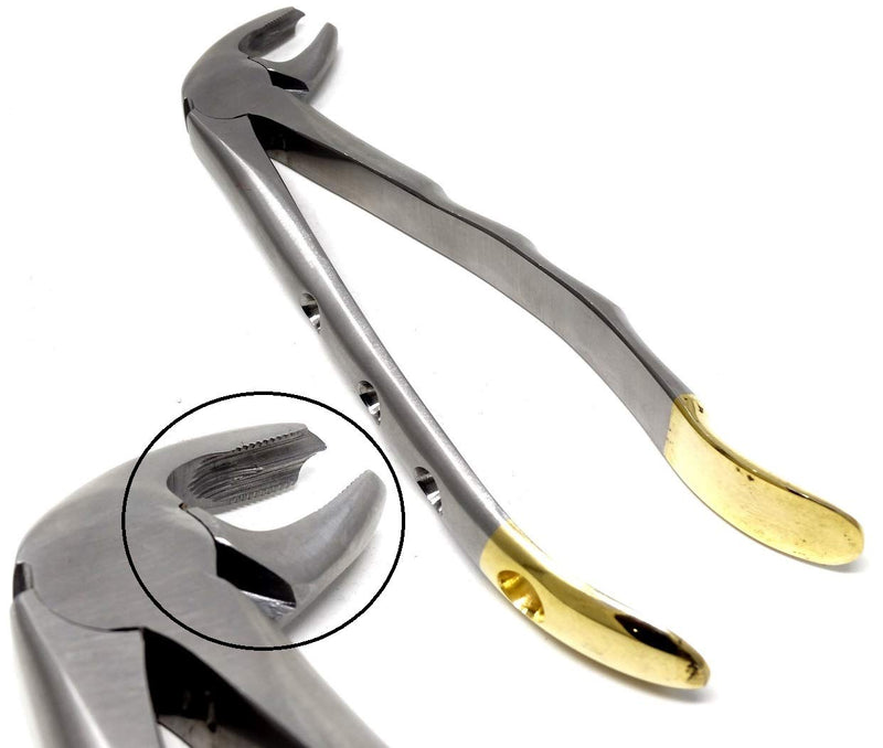 [Australia - AusPower] - Dental Extracting Extraction Serrated Forceps Mead MD4, for 1st, 2nd, 3rd Lower Molar, Premium Quality Gold Handle, Stainless Steel 