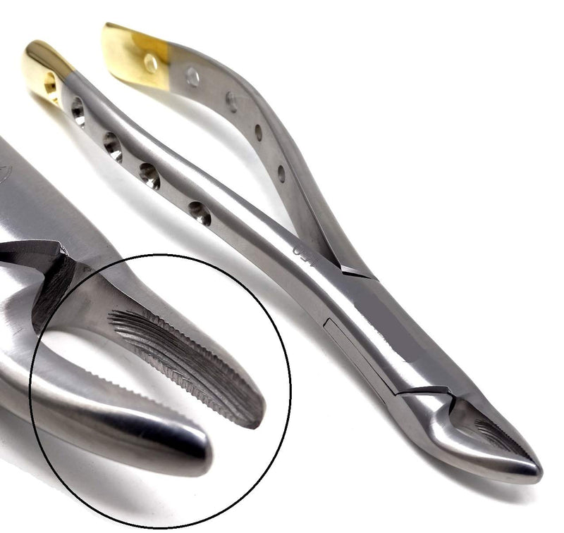 [Australia - AusPower] - Dental Extracting Extraction Serrated Forceps #150, for Maxillary incisors, Canines, premolars and Roots, Premium Quality Gold Handle, Stainless Steel 