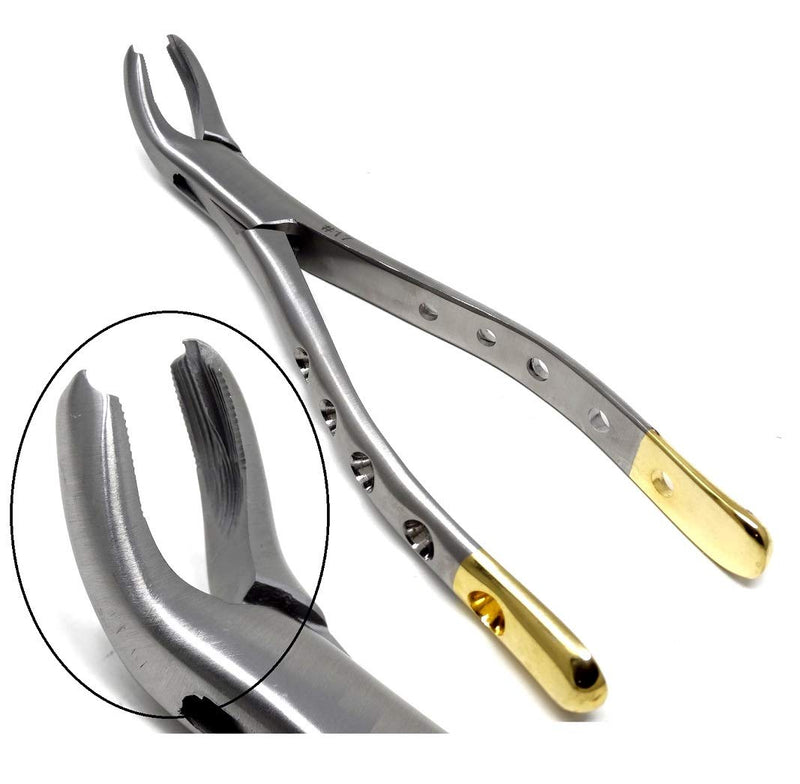 [Australia - AusPower] - German Dental Extracting Extraction Universal Forceps - For Extracting Lower 1st & 2nd Molars from Alveolar Bone - Serrated Jaws - Made of Premium Stainless Steel (Extracting #17) Extracting #17 