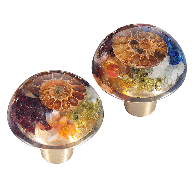 mookaitedecor Chakra Drawer Knobs with Screws Set of 2, Ammonite Fossil Resin Crystal Stone Pulls Handle for Dresser Cupboard Kitchen Wardrobe Decorative Circular