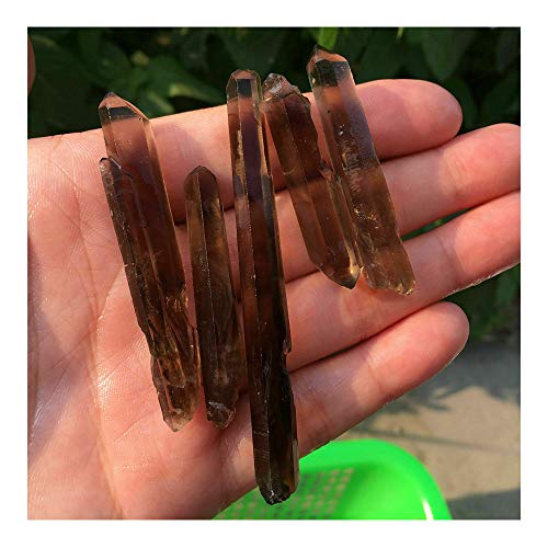 Acxico 5 pcs Natural Lemurian Smokey Quartz Crystal Point Specimen Healing 5cm