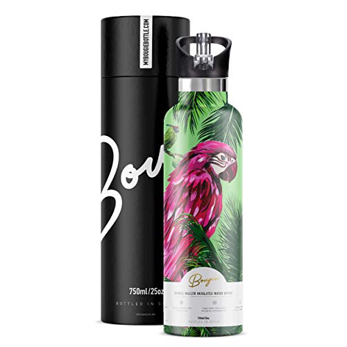 Water Bottle Stainless Steel with Straw | Wide Mouth Double Insulated | Cute Flamingo Gifts for Women | Easy Sip | Leak Proof Lid | BPA Free | Hot and Cold | Free Ice Tray and Pipe Cleaner | 25 oz Macaw