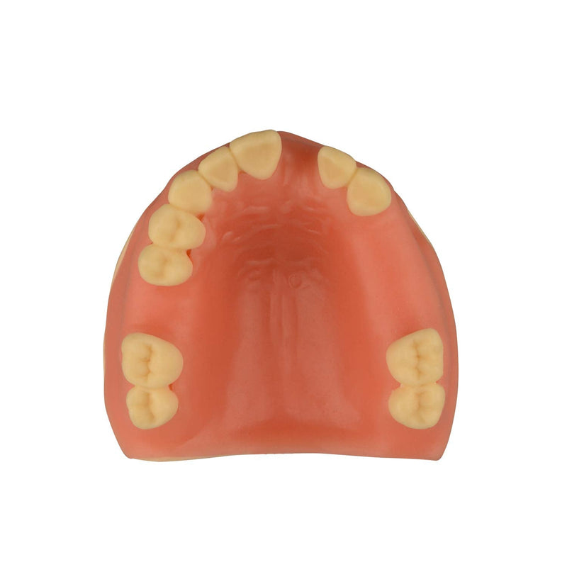 [Australia - AusPower] - Maxillary Dental Implant Model Missing Partial Teeth, Basic Implant Training Model with Practice Soft Gums, Great Dental Training Tooth for Dental Implant Practice 