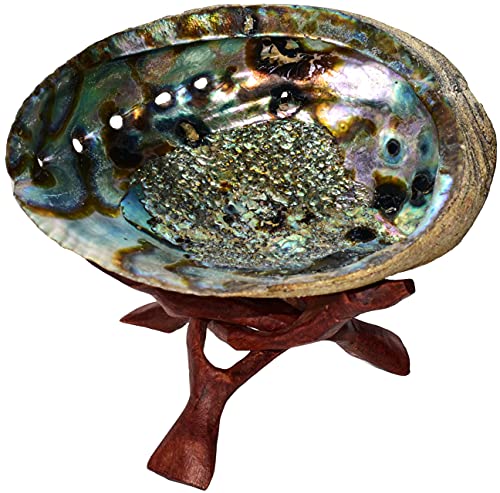Abalone Shell with Wood Stand - Sage Smudge Kit, Incense Bowl (Stand Plus 6 1/2-7 1/2 Inch Shell) Stand Plus 6 1/2 - 7 1/2 Inch Shell