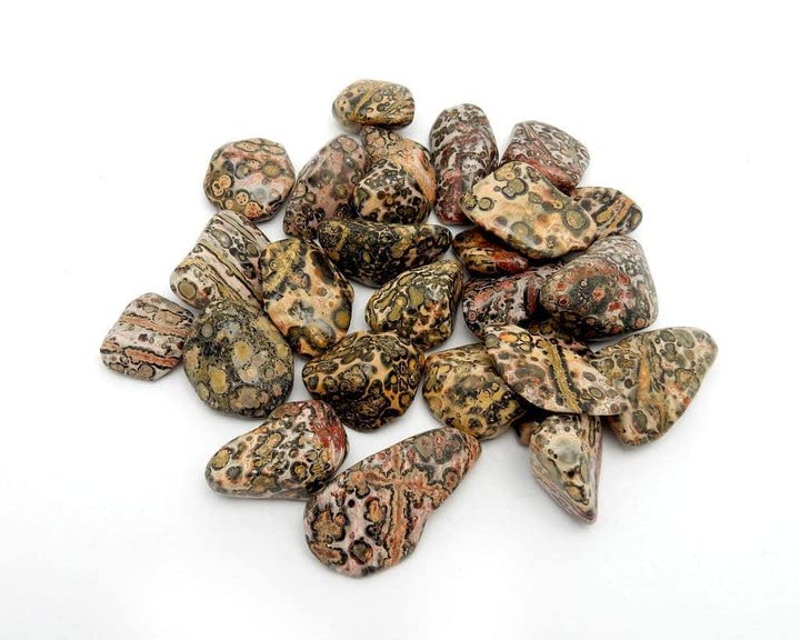 Pachamama Essentials Leopard Skin Jasper Tumbled - Healing Stone - Crystal Healing 20-25mm (5) 5