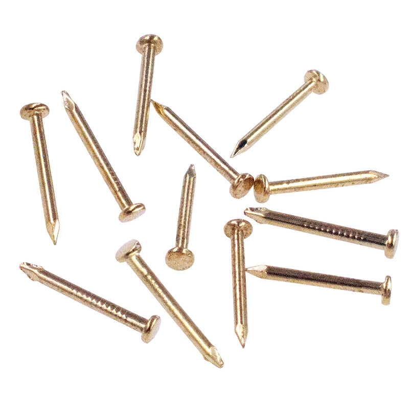 [Australia - AusPower] - Hardware Nail Assortment Kit (300pcs), Brass Plated Nails for Hanging Pictures (15MM) 15MM 