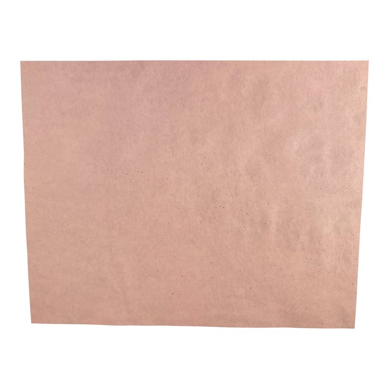 [Australia - AusPower] - Red Litmus Test Paper 8x10 Inch Sheet [Pack of 24] 