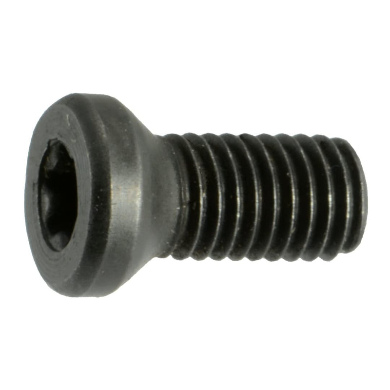 [Australia - AusPower] - Black Oxide Star Drive Weaver Oval Head Gun Screws - 10 pcs. (6-48 x 1/4" T-10 Torx) 6-48 x 1/4" T-10 Torx 