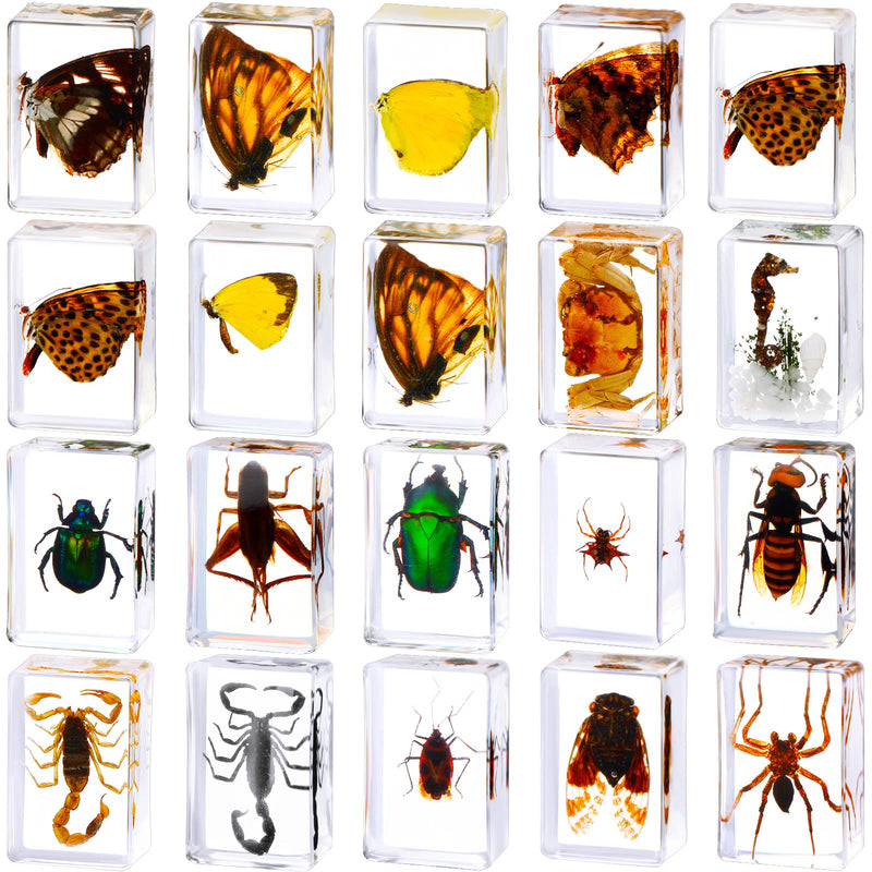 [Australia - AusPower] - 20 Pcs Insect in Resin Bug Preserved Specimen Collection Paperweights Resin Insects Various Insect Specimen for Office Men Women Biology Science Teacher Education Bug Collection Supplies (Butterfly) Butterfly 