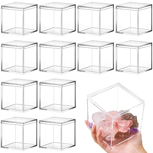Juexica 12 Pcs Clear Acrylic Boxes with Lid,Square,3 x 3 x 3 3 x 3 x 3" Square