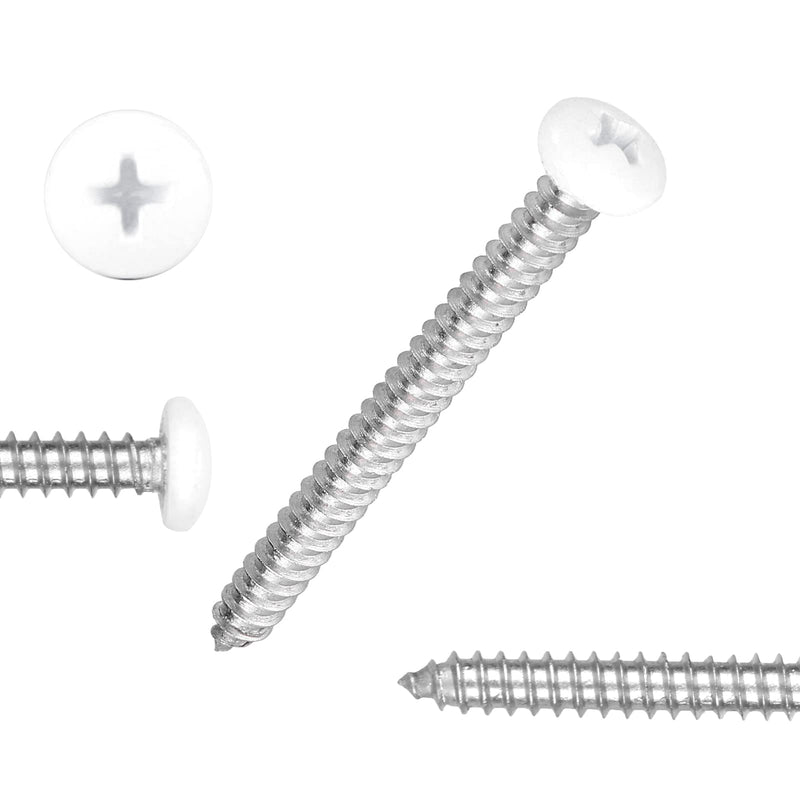 [Australia - AusPower] - White Head 100 PCS #8x1-1/2(1.5 inch) Stainless Steel Phillips Pan Head Wood Screws,Stainless Steel 18-8 A2(304) Screw,Home Screw Kit by QISHENG #8X1-1/2"(1.5 inch) White 