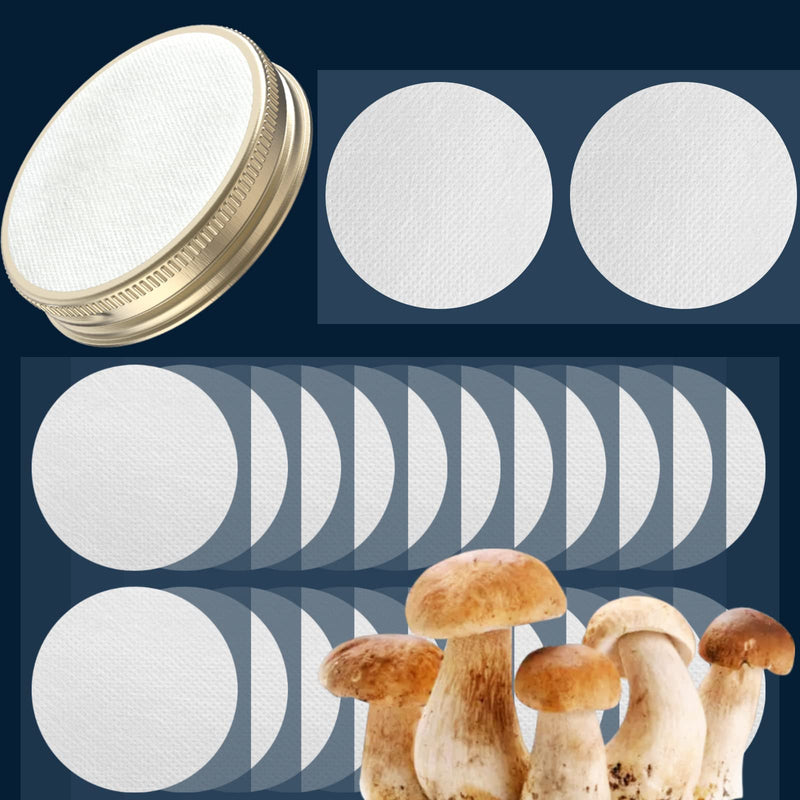 [Australia - AusPower] - Membrane Filter Sticker 20mm 58mm 65mm 82mm 90mm 0.3um Strong Adhersive Filter Disc for Mushroom Cultivation (65mm,24) 24 