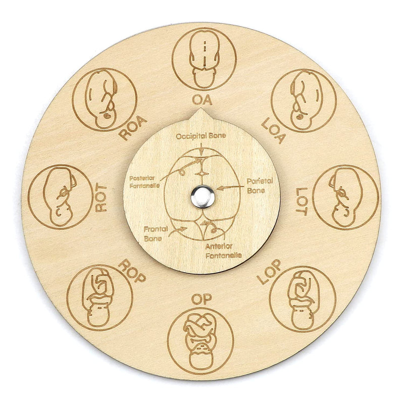 [Australia - AusPower] - Midwife fetal position tool, carved wooden fetal position wheel for student midwife doctor doula (Round) Round 
