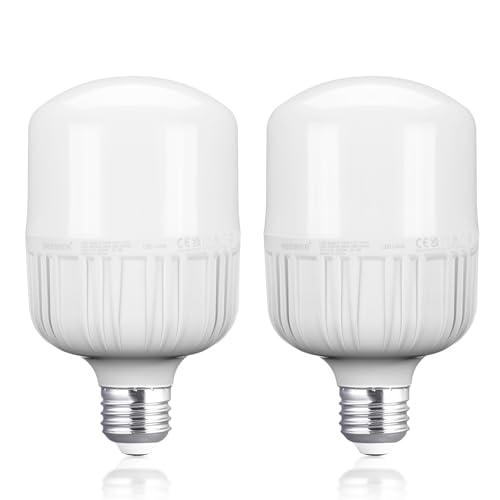 Neewer E26 24W LED Light Bulbs, 2 Packs, 2160 Lumens/5700K/CRI 93+/15000h Lifespan, Bright Video Photography Lighting, Silent/No Flicker/Non Dimmable 200W Incandescent Equivalent