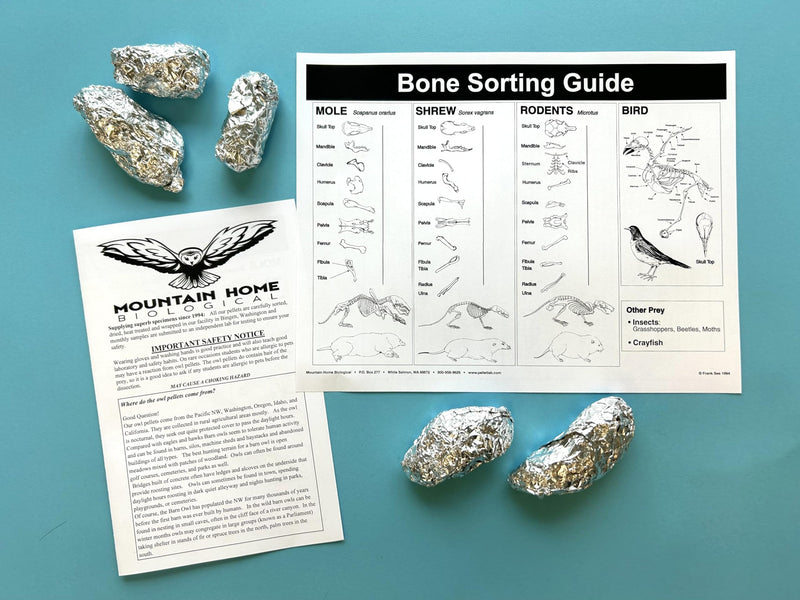 [Australia - AusPower] - Jumbo Owl Pellets, Pack of 5, with Bone Sorting Sheet, Inc. 