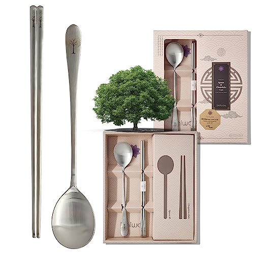 [5 Sets] [Made in Korea] Korean Sticky Rice Spoon Chopsticks Set Gold Titanium Plating 304 Stainless Steel Tableware Cutlery Set Mukbang Chopsticks (Willow Tree, 5 Sets) Willow, 5 Sets