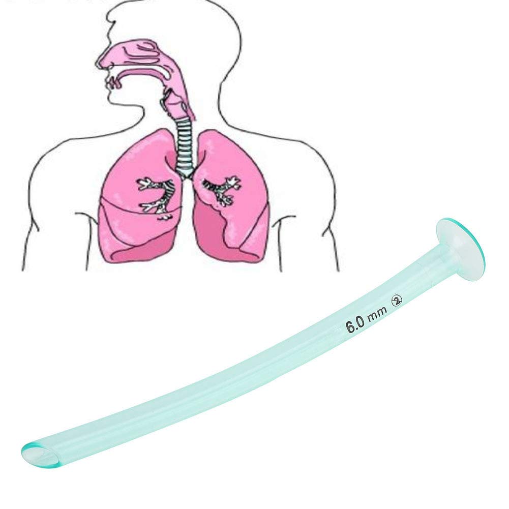 Disposable Nasal Pharyngeal Duct Nasopharyngeal Airway Health Care Tool Accessory 6Mm Npa Airway Set,Npa Airways 7,Nasopharyngeal Airway 7,Canula Nasofaringea,Nasopharyngeal Airw (6)