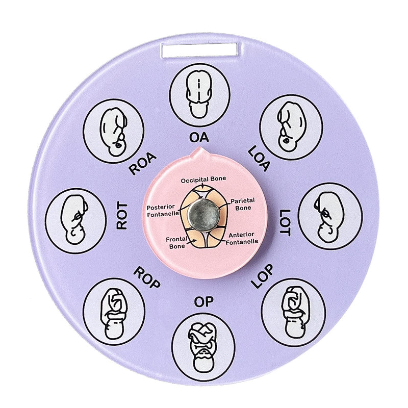 [Australia - AusPower] - Midwife Fetal Position Tool, Midwife Gifts, Doula Supplies, Fetal Position Wheel, Childbirth Education Tools, Badge Buddies for Nurse, Fetal Position Wheel for Student Midwife Doctor Doula 